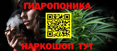 apvp Краснознаменск