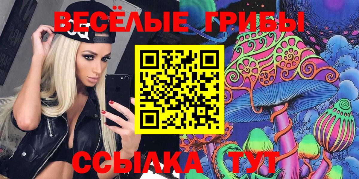 Хабаровск  Псилоцибиновые грибы Cubensis  Вход с VPN  Псилоцибиновые грибы Psilocybe 