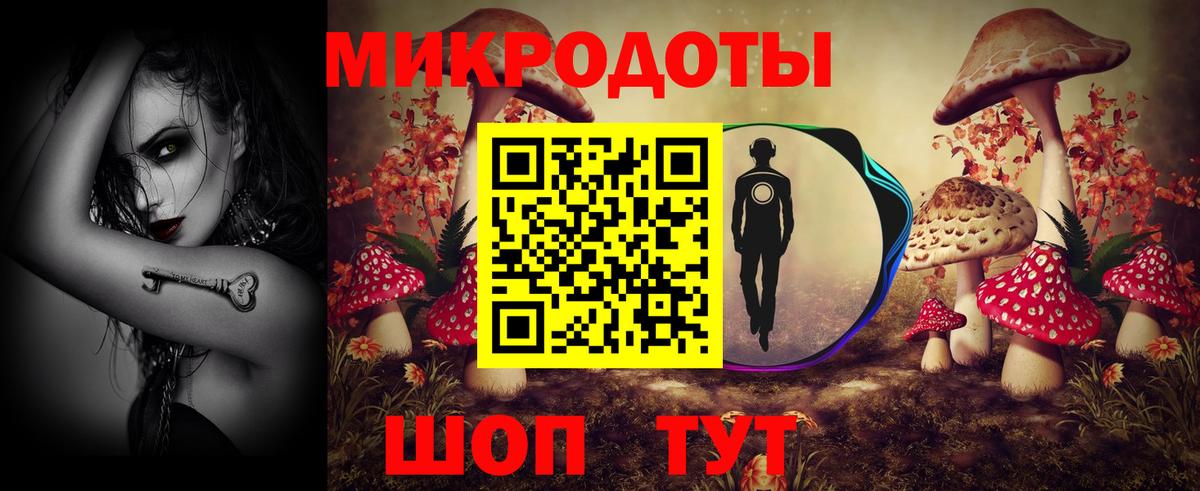Псилоцибиновые грибы Cubensis Хабаровск